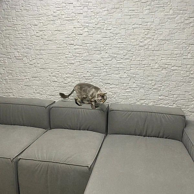 Лаунж диван с оттоманкой для максимального релакса. Отзыв с фото. 5/5.